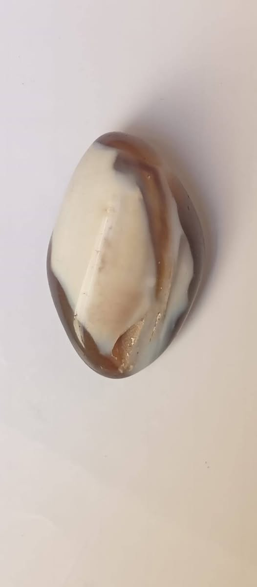 السلام عليكم حجر داؤودي للبيع السعر خاص


**إذا كنت صاحب هذا الإعلان وتريد حذفه لأي سبب، رجاءا أرسل رسالة إلى الدعم الفني**