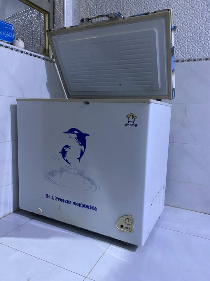 مجمده وثلاجه نضيفات حيل شغالات بس الثلاجه فريزها جوه برودته قليلة
مكانهن سوق الشيوخ
***********

