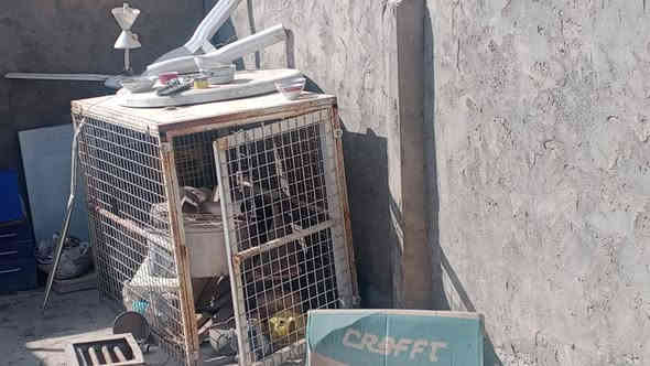 السلام عليكم
قفص للبيع مترين في متر كامل يتفصخ قطعه قطعه السعر 60 الف دينار للاستفسار الاتصال على الرقم ***********
