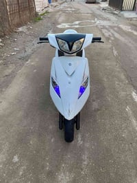 ثعلب • نضافه • شكاكيه