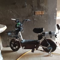 باسكل شحن • كربلاء