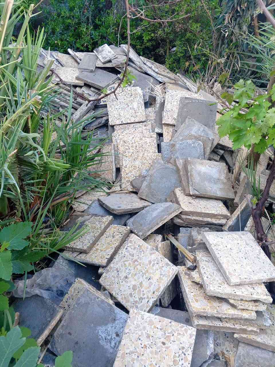 كاشي للبيع كوفة 17تموز


**إذا كنت صاحب هذا الإعلان وتريد حذفه لأي سبب، رجاءا أرسل رسالة إلى الدعم الفني**