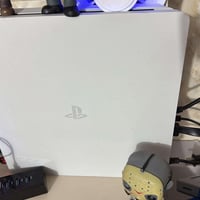 بلي فور • سليم • قرص فيفا