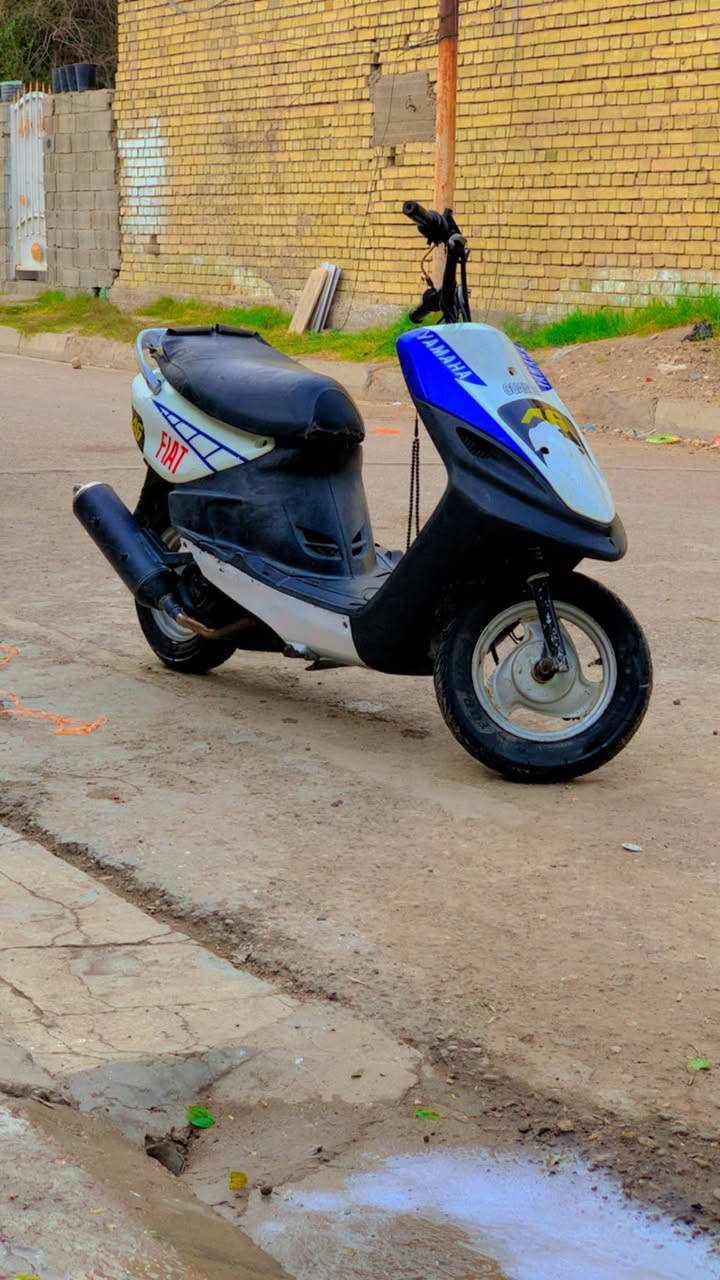 شغاله بوشه ٥٥ عنواني بغداد ألبياع تقاطع درويش *********** بغداد, العراق
