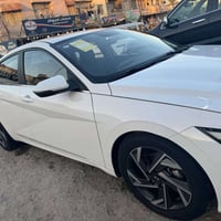 للبيع النترا صيني 2024 بدون صبغ بدون بارد بدون ضربه فقط فطر بالشباك ال...