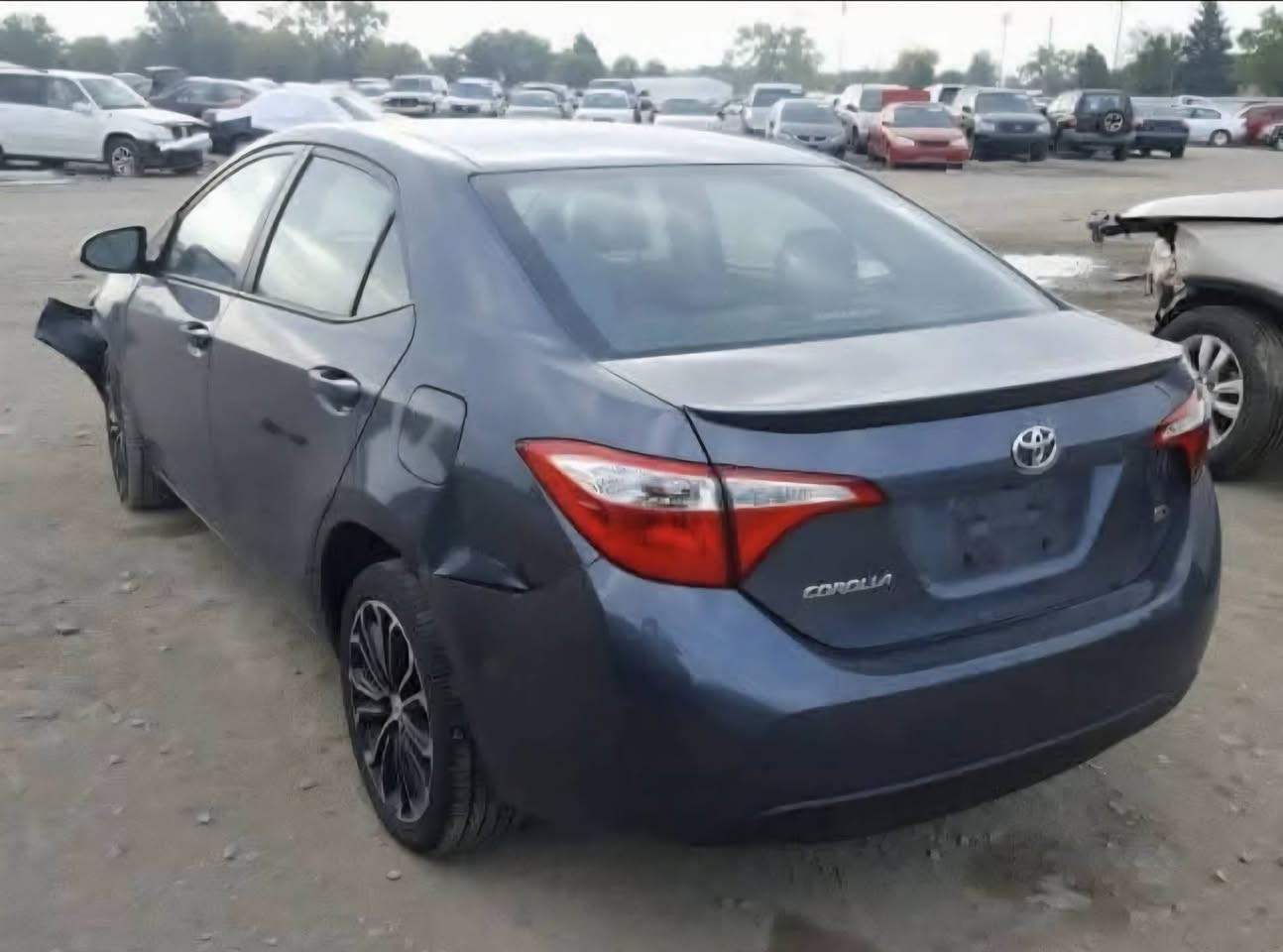 كورلا للبيع موديل ١٦ امريكي اس رقم بغداد مكفوله كير ومحرك وبيهه سونار قديم بيهه صور الحادث مالتهه مكان السياره بغداد الكاظميه  رايدهه ب ١٣٠ والشراي يدلل يجي يشوف وبينه السونار السياره متصرف عليهه ربع دينار رقم الهاتف  ***********
