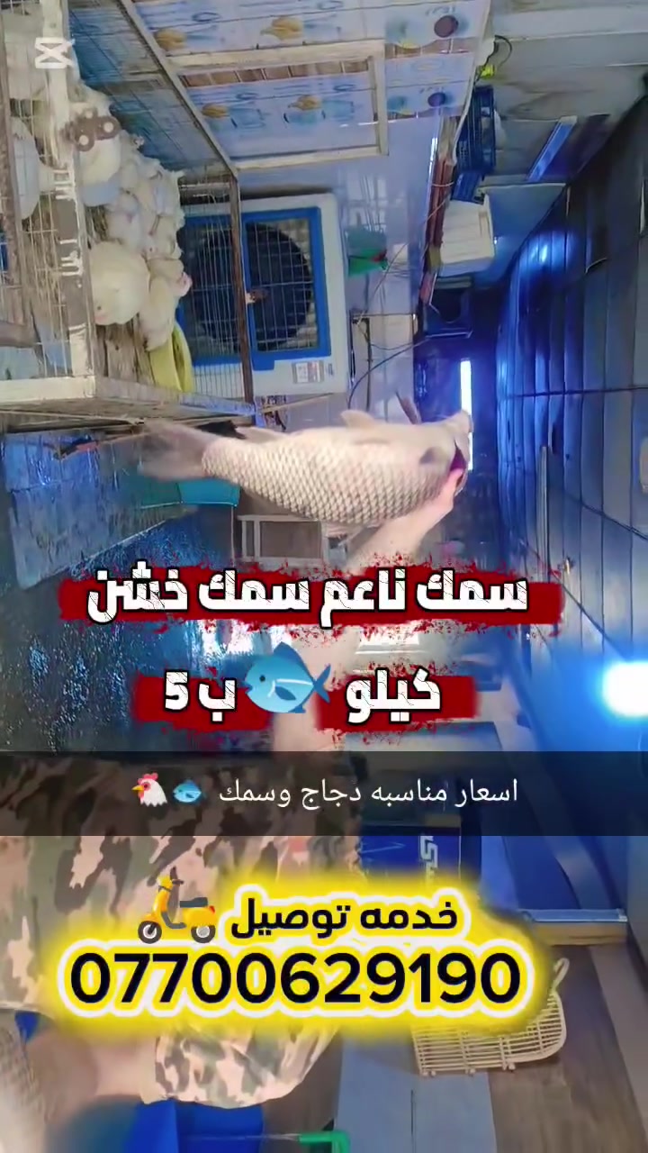 يالله باجر جمعه موجود سمج ناعم خشن انسب الاسعار اكو توصيل ***********
1-صدر دجاج بدون عضم 
2-افخاذ +كنتاكي 
3- اجنحه +ركب 
4-كبده +حواصل 
----------------------------------------✅
عنوانه السريدات بالخفاجات بضهر #اسواق #الشام 
اكو خدمه توصيل 🛵 ***********
@إشارة
