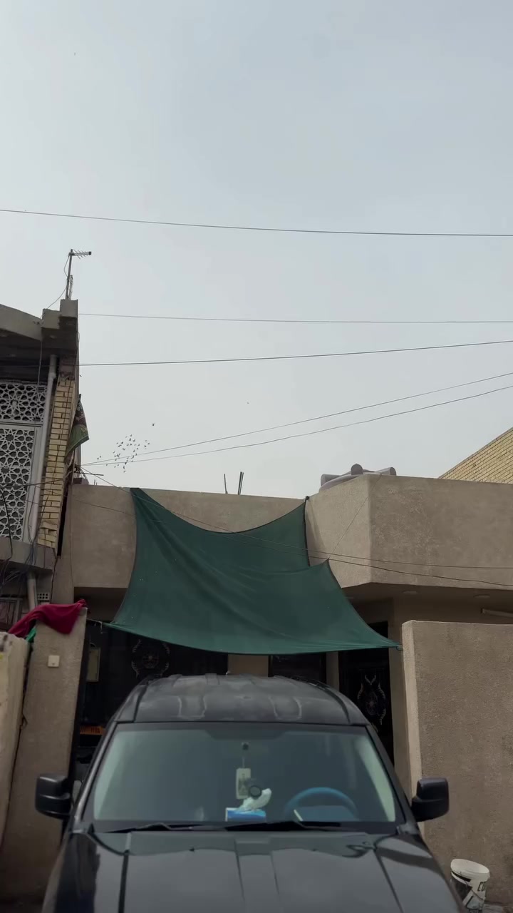 🚗 للبيع: دوج نيترو 2008 بحالة ممتازة
🔹 السيارة: Dodge Nitro  
🔹 الموديل: 2008  
🔹 الحالة: نظيفة جداً وجاهزة للاستخدام  

✅ المواصفات:
- صبغ حزام فقط (بدون أي حادث)  
- محرك جديد (مشدود قبل سنة)  
- تعمير كامل وجاهز  
- كير ممتاز  
- تبريد ثلج (ما يشتكي من حرارة)  
- كهربائيات كاملة وشغالة 100%  
- تايرات جديدة (صار شهر من مركبات)  

🚘 ما تحتاج أي صرف، استلم وامشي  

📍 الموقع: بغداد  
📞 للتواصل خاص أو اتصال  ***********

⚡ للجادين فقط
