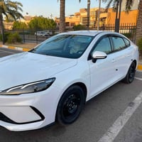 سيل 5 • ٢٠٢٥ • الطالبية