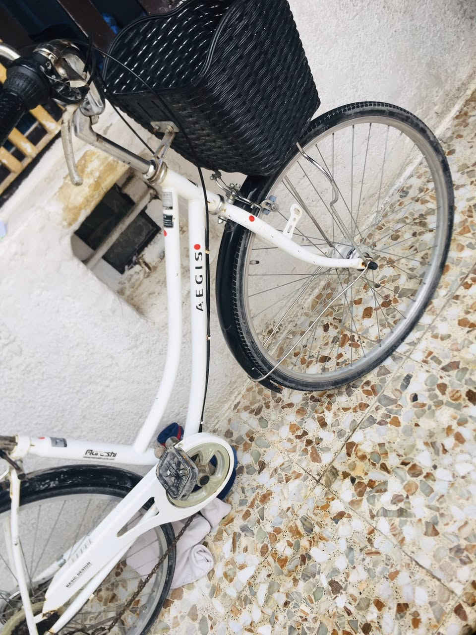 السلام عليكم للبيع بايسكل بناتي حجم 27 بايسكل اصلي مال باله عكرب 7نمر ويل حساس السعر 70 وبي مجال للطيبين  مكاني بغداد البلديات ***********بي واتساب
