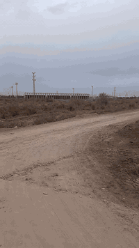 حقل الرابع • نص قطعة • ١٢٥م