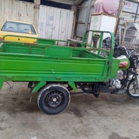 ستوتة صقر • ٢٠٢١ • اوراق اصلية