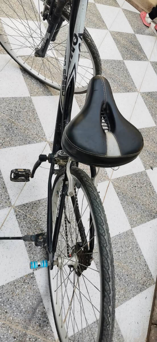 بايسكل حجم 28 اصلي مال باله سعر 60 وبي مجال جاهز العنوان لهوير رقم تلفون***********
