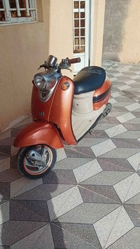 دراجة مصرية • مكفولة • واسط