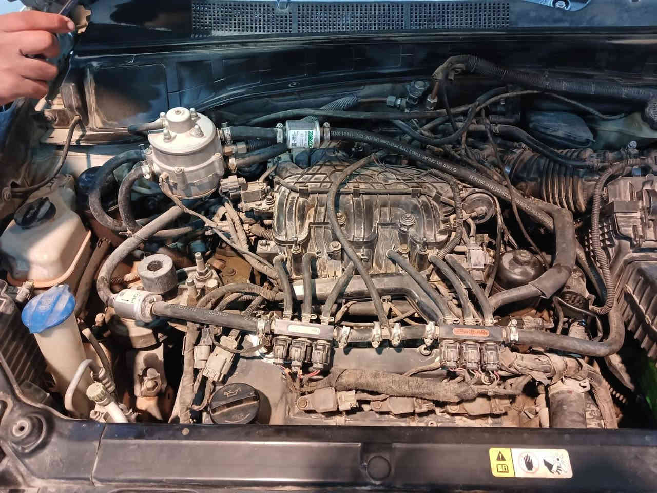 يالله 
منضومة غاز إيطالي اصلي مال 6 سلندر اصلية 
الايطاليه حاليا مشدودة على سنتافي 6 سلندر 
جاهزة وجديدة
السعر ((450)) وبيها مجال
مكاني النجف // للاتصال // ***********
