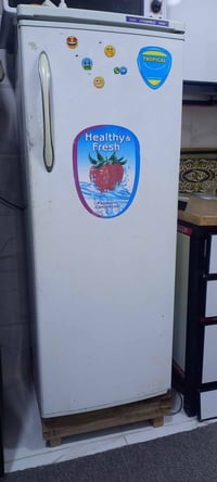 ثلاجه نضيفه • حجم وسط • نجف