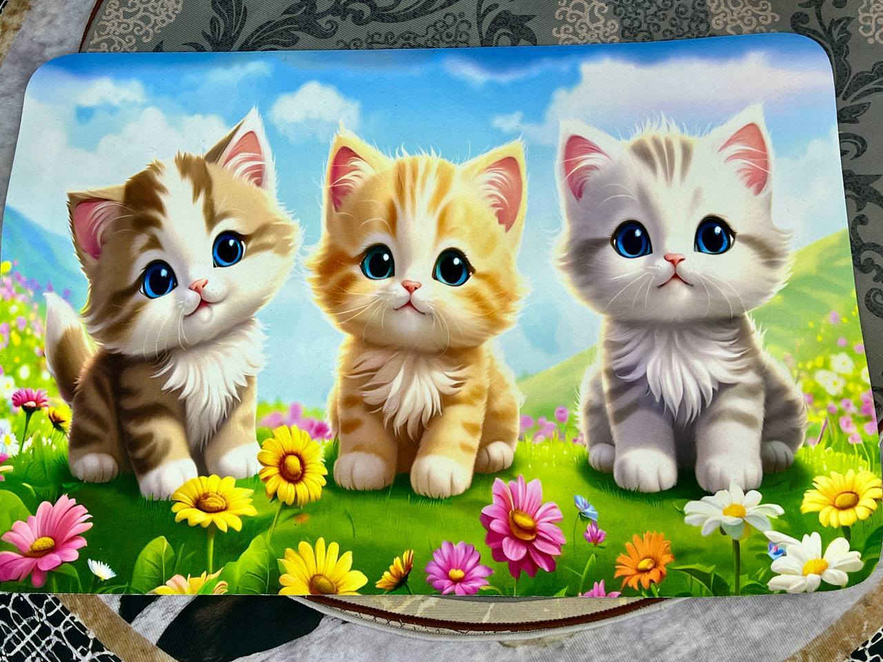 توفرت دواسه جلد وتر بروف اصلي متعبر مي 🙋🏻‍♀

طول 90 سم عرض 60 سم السعر 4 الاف 🔥 🚗🚕


**إذا كنت صاحب هذا الإعلان وتريد حذفه لأي سبب، رجاءا أرسل رسالة إلى الدعم الفني**