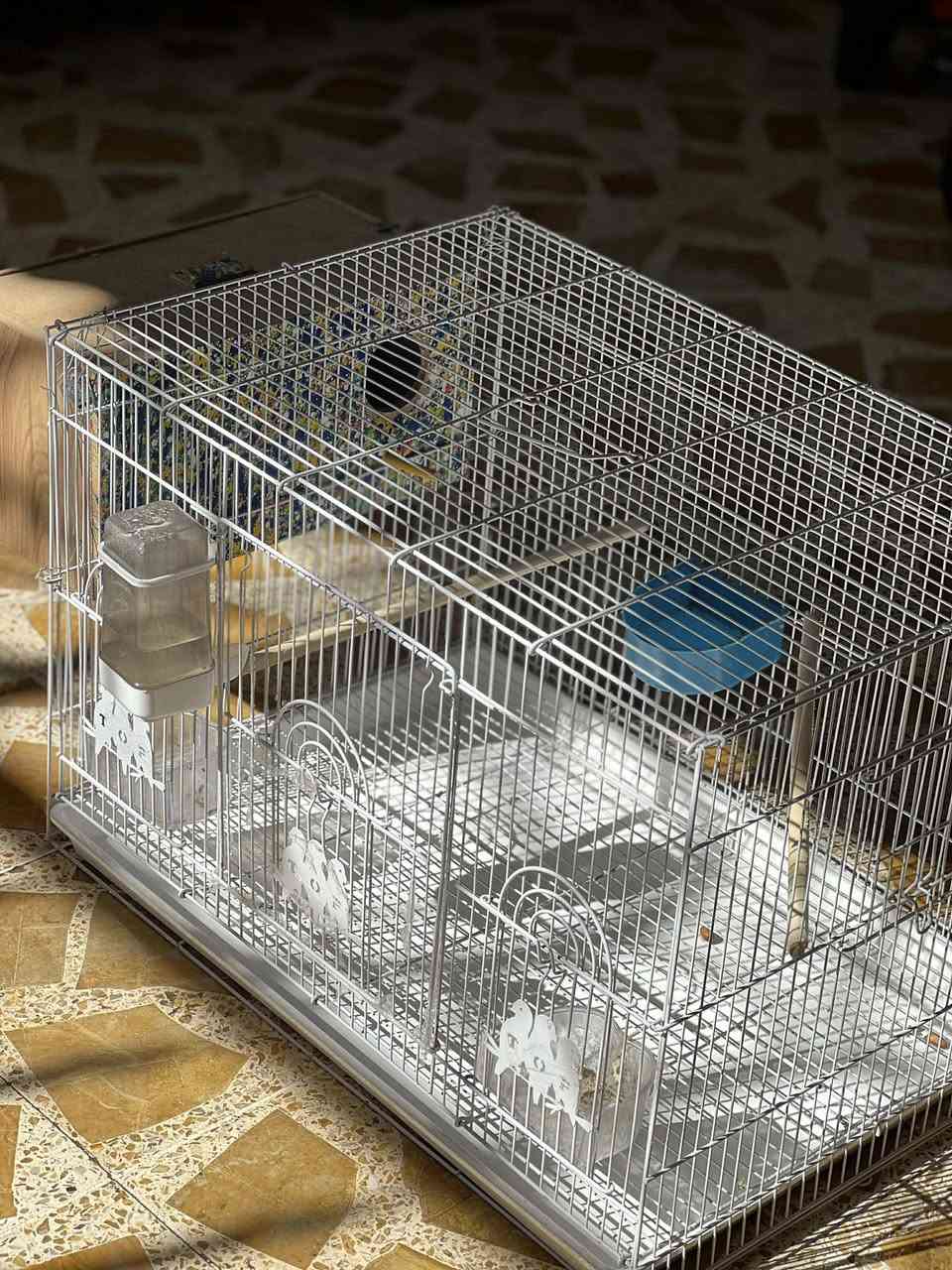 قفص جديد ما مستخدم غير سبوع واحد قفله من الاخير 15 حي سماح ***********_***********
