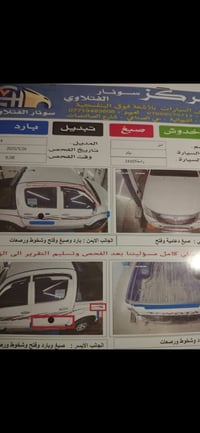 فلاونزه • ٢٠١٤ • ديوانية