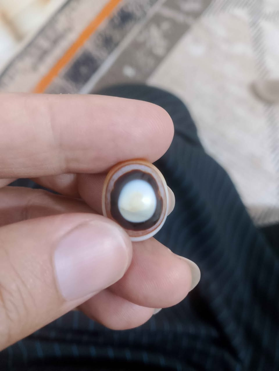 البصره دور ضباط البصرة, العراق


**إذا كنت صاحب هذا الإعلان وتريد حذفه لأي سبب، رجاءا أرسل رسالة إلى الدعم الفني**