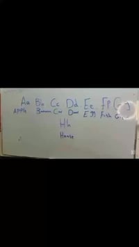 دروس انكليزي • تمهيدي • سيد عزال