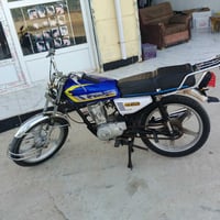 دراجة • ٢٠١٩ • بدون أوراق