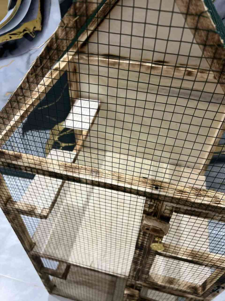 السلام عليكم خانه ثنائية 
قياساتهه الارتفاع 130
العرض 55
النزال 50
طبعا هاي طلب خاص للزبون تكدرون تختارون القياسات الي تحبوهه. ونشتغلهه الكم. شغلنه درجة اولى ومضمون 
للاستفسار والطلب راسلونه وتساب ‭+964 771 410 4943‬

‭+964 771 073 3832‬
ورجاءا رجاءا الي يحب يستفسر عن السعر. يتواصل وتساب اني فقط انشر. ماعرف بالاسعار.


**إذا كنت صاحب هذا الإعلان وتريد حذفه لأي سبب، رجاءا أرسل رسالة إلى الدعم الفني**