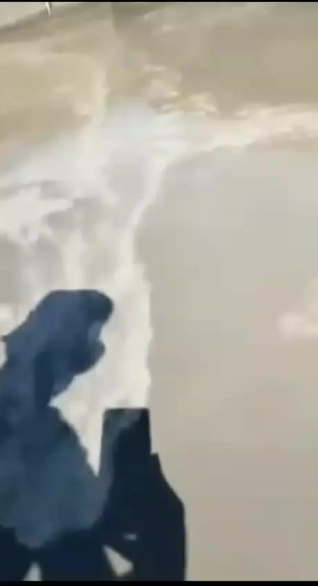 هذه رقمي ***********
