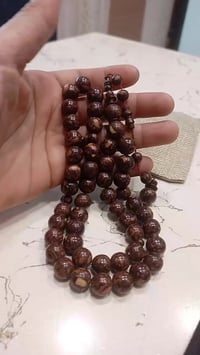 شجر الدارسين • طبيعي • ٤٥ حبه