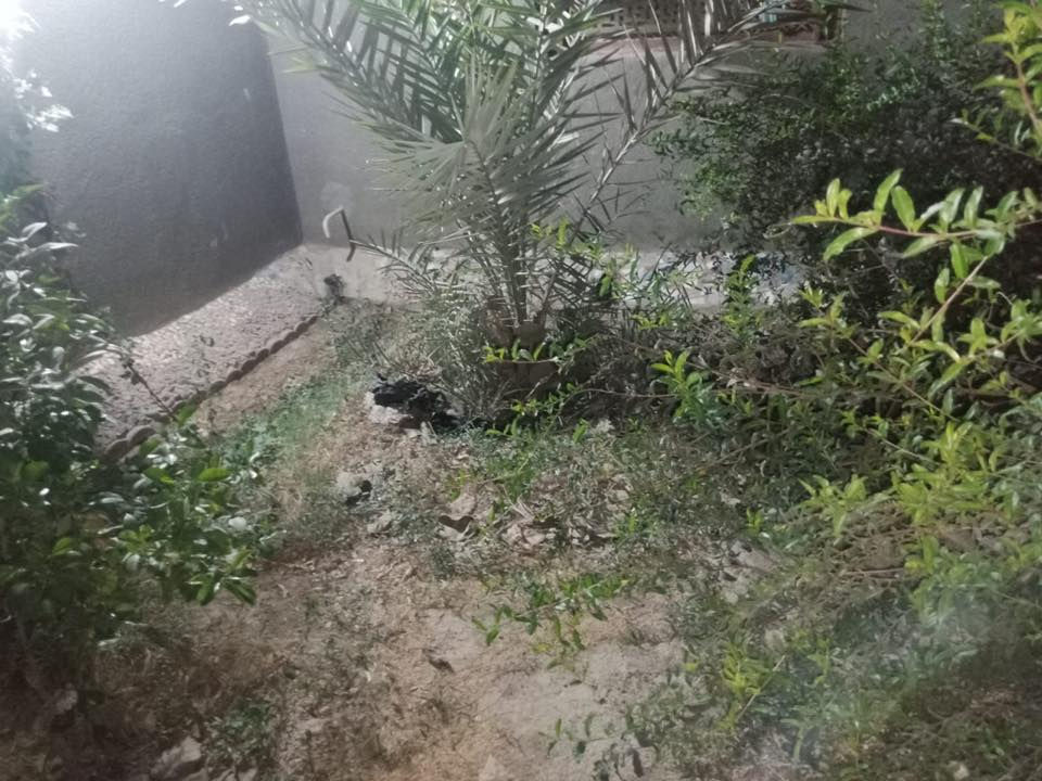 ✨ للبيع بيت زراعي مميز — فرصة ذهبية ✨

بيت زراعي جاهز للسكن، يتميّز بمساحة كبيرة وخدمات متكاملة:

🏡 المساحة الكلية: ٥٠٠ متر
🏗️ مساحة البناء: ٣٠٠ متر بناء طابوق + كونكريت
🌳 خلف البيت: حديقة واسعة، جلسة راقية، أشجار مثمرة، مكان شوي مع ديكور جميل، وبرّ ماء

مواصفات البيت:
 • غرف عدد ٥
 • صالة
 • مطبخ حار/بارد
 • استقبال + ديوان ١١ متر
 • مجمع صحيات خارجية
 • كراج
 • طابقين
 • متوفر كهرباء وماء وكافة الخدمات
 • قريب على المدارس
 • ركن
 • محل تابِع للبيت

📍 العنوان: الصخيين – قرب الشارع العام وقريب من الحولي

💰 السعر: ٢٦٠ مليون فقط — قابل للتفاوض

📞 للاستفسار والاتصال:
***********
