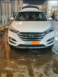 توسان • ٢٠١٨ • صبغ عام