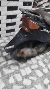 دراجه للبيع السعر 85 قفل مكاني بغداد مدينه الصدر وهذا رقمي ٠٧٧٠٧١٠٥٦٤٠