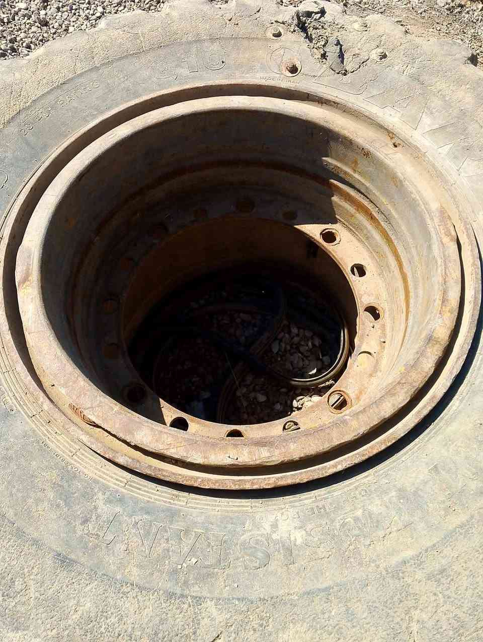 تخم وياله80للبيع***********
