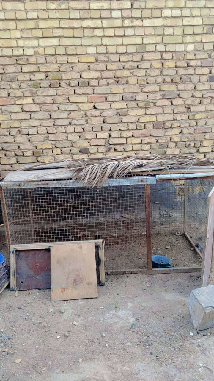 صباح الخير قفاصة للبيع سعر الخشب 25وسعر الحديد 50مكاني حلة الاكرمين


**إذا كنت صاحب هذا الإعلان وتريد حذفه لأي سبب، رجاءا أرسل رسالة إلى الدعم الفني**