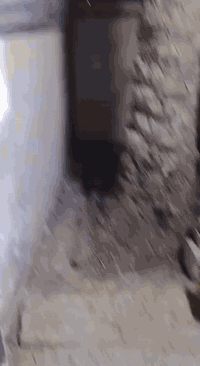 بيت الايجار بدون دلالية عائله صغيره ***********
