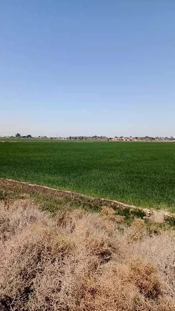 للبيع 40 دونم بلحريه طابو 25 سعر الدونم 10 مليون 
للاستفسار 
***********
***********
