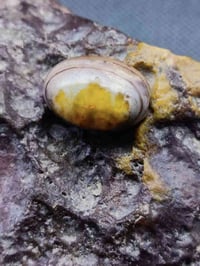 اللهم صل على محمد و ال محمد جزع العين مصورة قبة ومنارتين جمال وندرة لا...