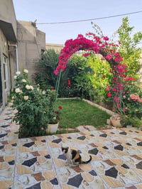 دار زراعي • ٢٠٠م • كركوك