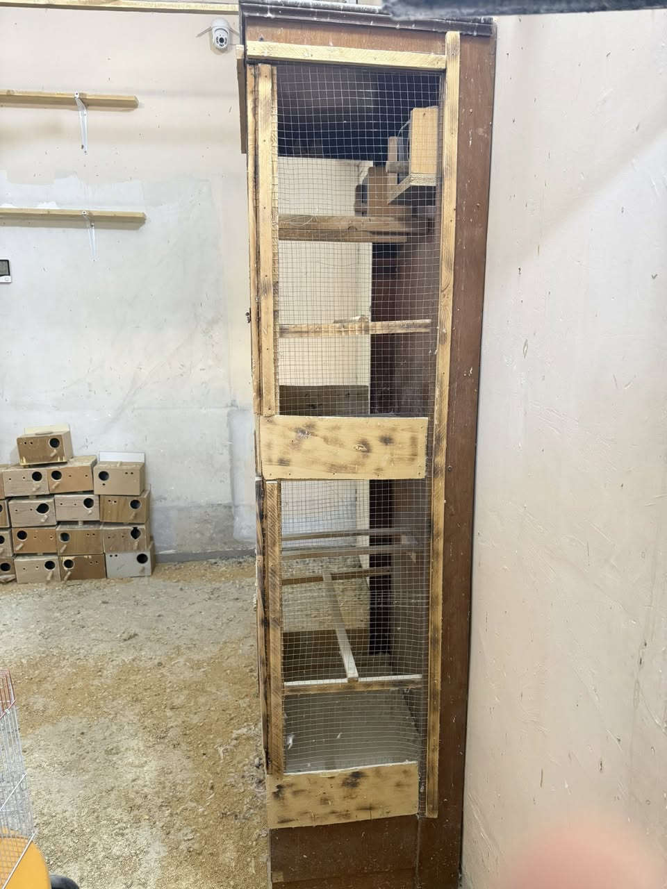 ب ١٠٠ شغل درجه اولى مع جرار  الارتفاع ١٨٠/النزال ٤٢/ الواحهيه ٦٠/ قاعين وتكدر اشيل القاطع يصير قفص واحد

البقالات نجاره على الف دينار وام الخاضنه ب ٣ ولمراجيح على ١ دينار قفل

بابل / المهندسين / ***********
