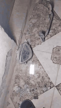 يابا السلام عليكم اغراض ماكس للبيع حواضر كامله مال عدله عقل مال بريز نازل دراجهضباقي طاسه مال كلتش مال ماكس ***********📲📞
