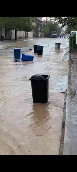 ستاندی سەلەی خۆڵ سلێمانی خەبات نزیک قوتاب خانەی قەندیل .نرخی ٨هەزار .بۆسەر جەم سەلەی خۆڵەکان دەبێت .گەیان دنمان هەییە بۆسەرجەم شارەکان ڕێگرە لەبڵاو بونەوە خۆڵەکانتان شێوازێکی جوان بەبەردەم ماڵەکەت دەبەخشێت بڕخوچەوی خۆی لەگەڵە بۆدانان .***********_*********** السليمانية
