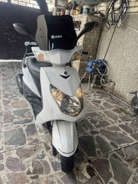 سكنس فحل • ياباني • كفاله