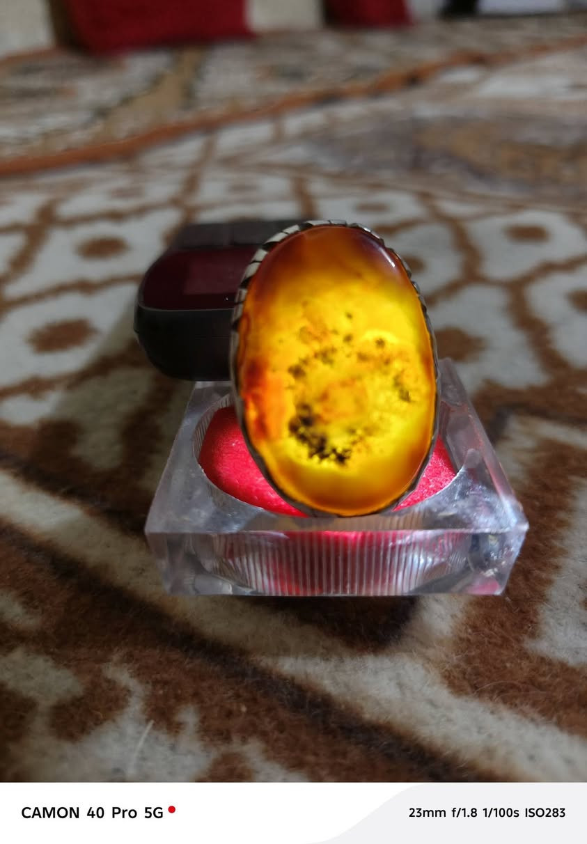 داوودي معطف محبس يخبل فضه ثقيله السعر 150


**إذا كنت صاحب هذا الإعلان وتريد حذفه لأي سبب، رجاءا أرسل رسالة إلى الدعم الفني**