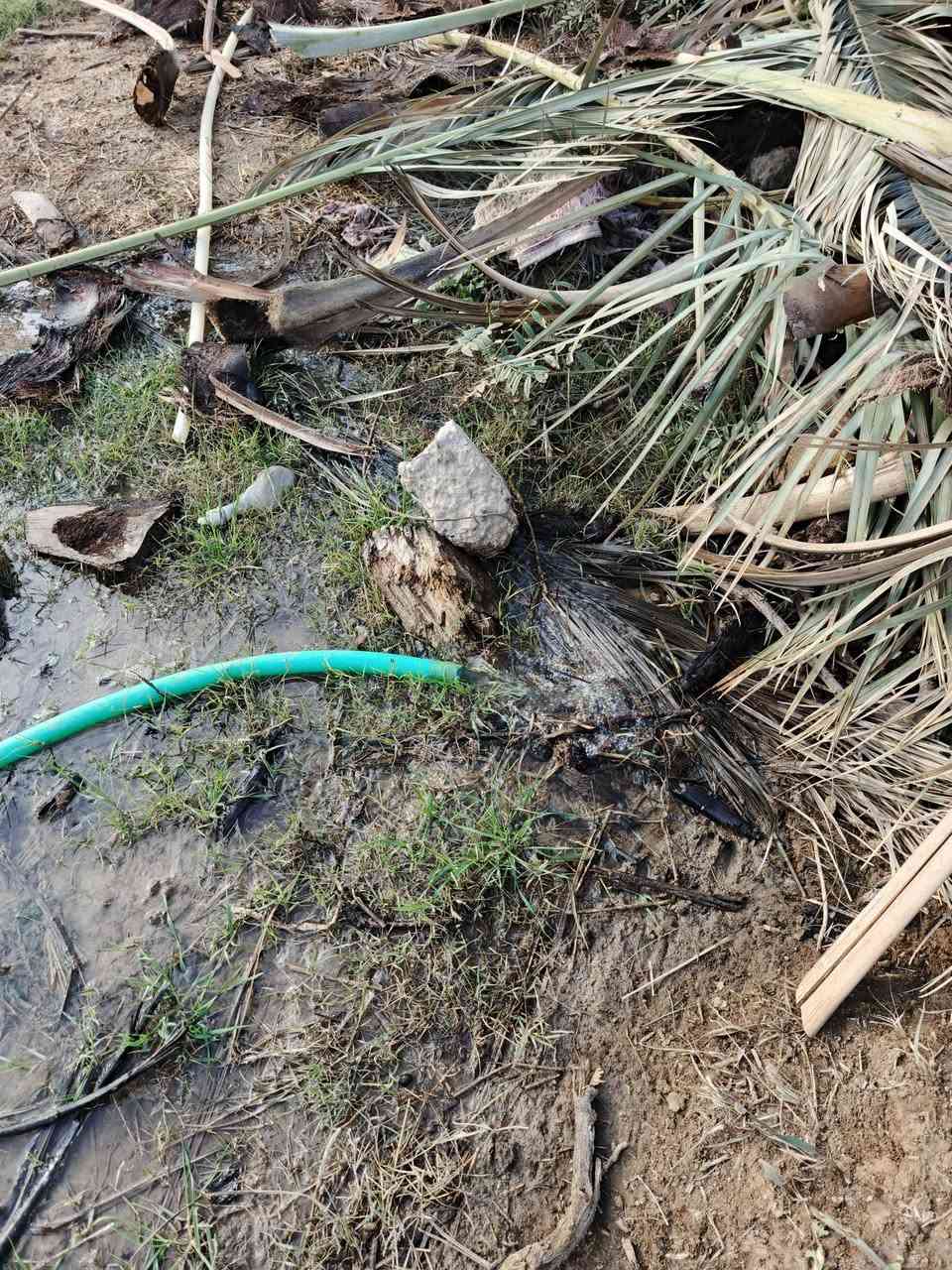 سلام عليكم للبيع دونم و500 متر سند 25 تحويل مباشر بسم المشتري بغداد الراشدية قرية العراكنة تبعد عن ناحية ربع ساعة وعن شارع العام طريق بغداد كركوك كيلو كهرباء ماء سقي ماء اساله تصلح سكن مزروع نخل واجه 30نزال 100 ملك صرف كل خدمات كامله يبعد عن تبليط 600متر سعر 150 وبي مجال ***********
