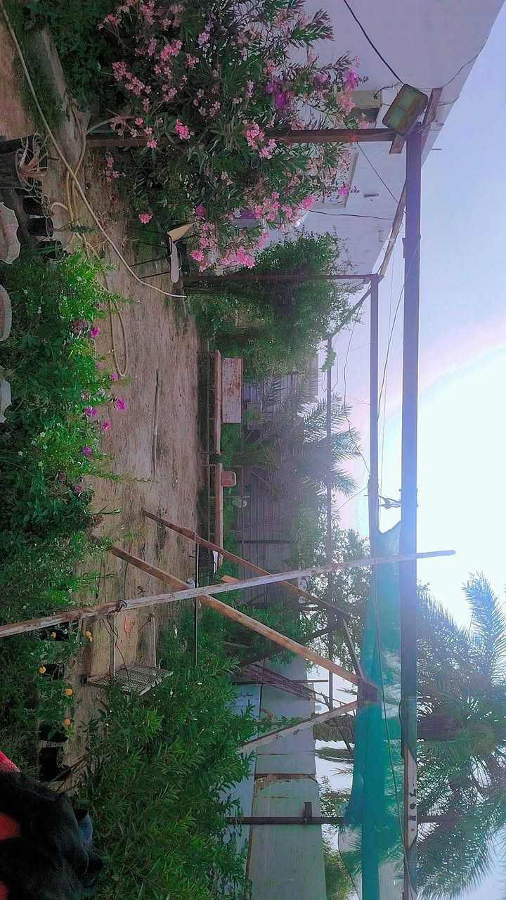 السلام عليكم بيت ٤٠٠ خلف عمارات الزيتون
المساحه ٤٠٠
٢٠٠ بناء و٢٠٠ حديقه
سند ٢٥ مشمول بالتطويب
مداور ثاني يوم
غرفتين وصاله ومطبخ وصحيات داخليه وخارجيه وبراني
مجاور مجمع عزيز شريف
*********** اتصل او واتساب
