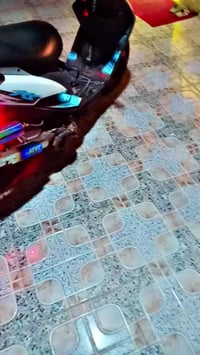 ماكس • نضافه • فول مزوده