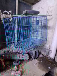 قفص صغير • مكاني • بغداد