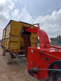 كاروظه • ٢٠٢٣ • العظيم