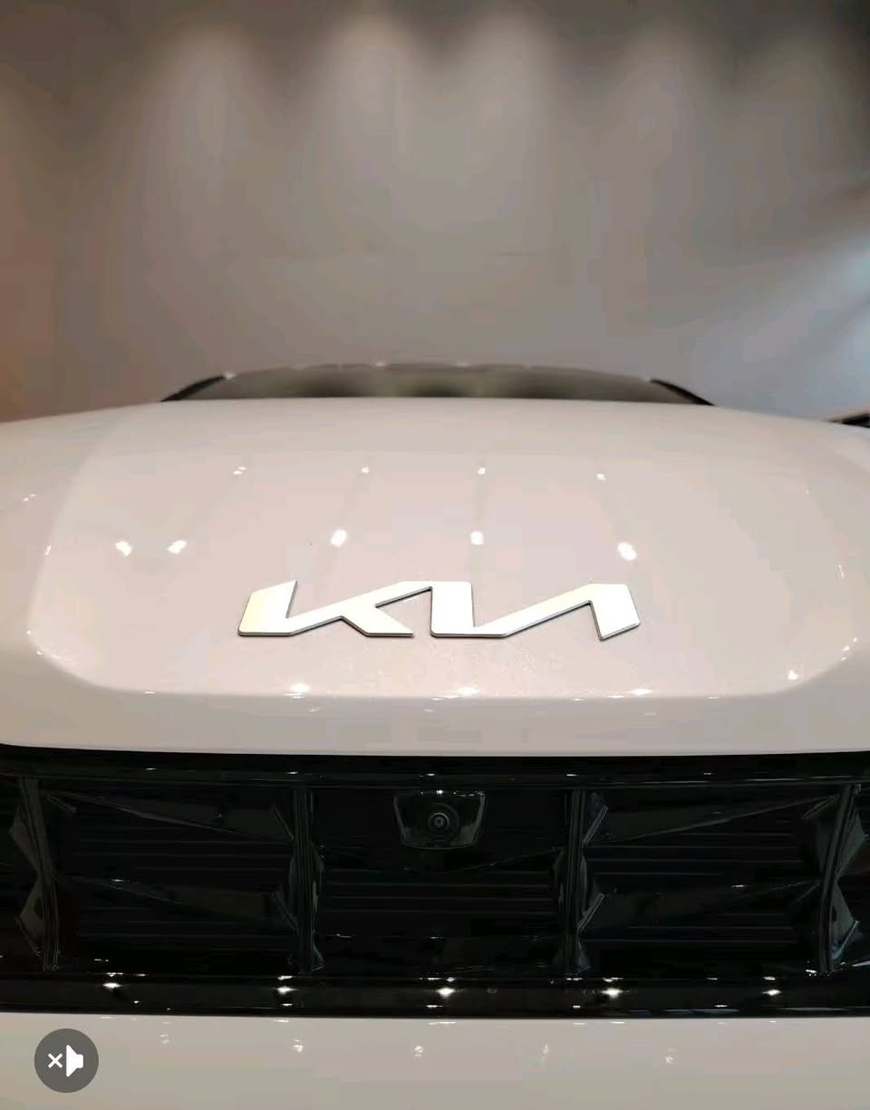 للبيع. ماشيه. عشر تالف عله وضع الشركه.  رقم اربيل ***********
