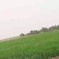 طابو زراعي • ٢٥ دونم • واجهة نهر الفرات